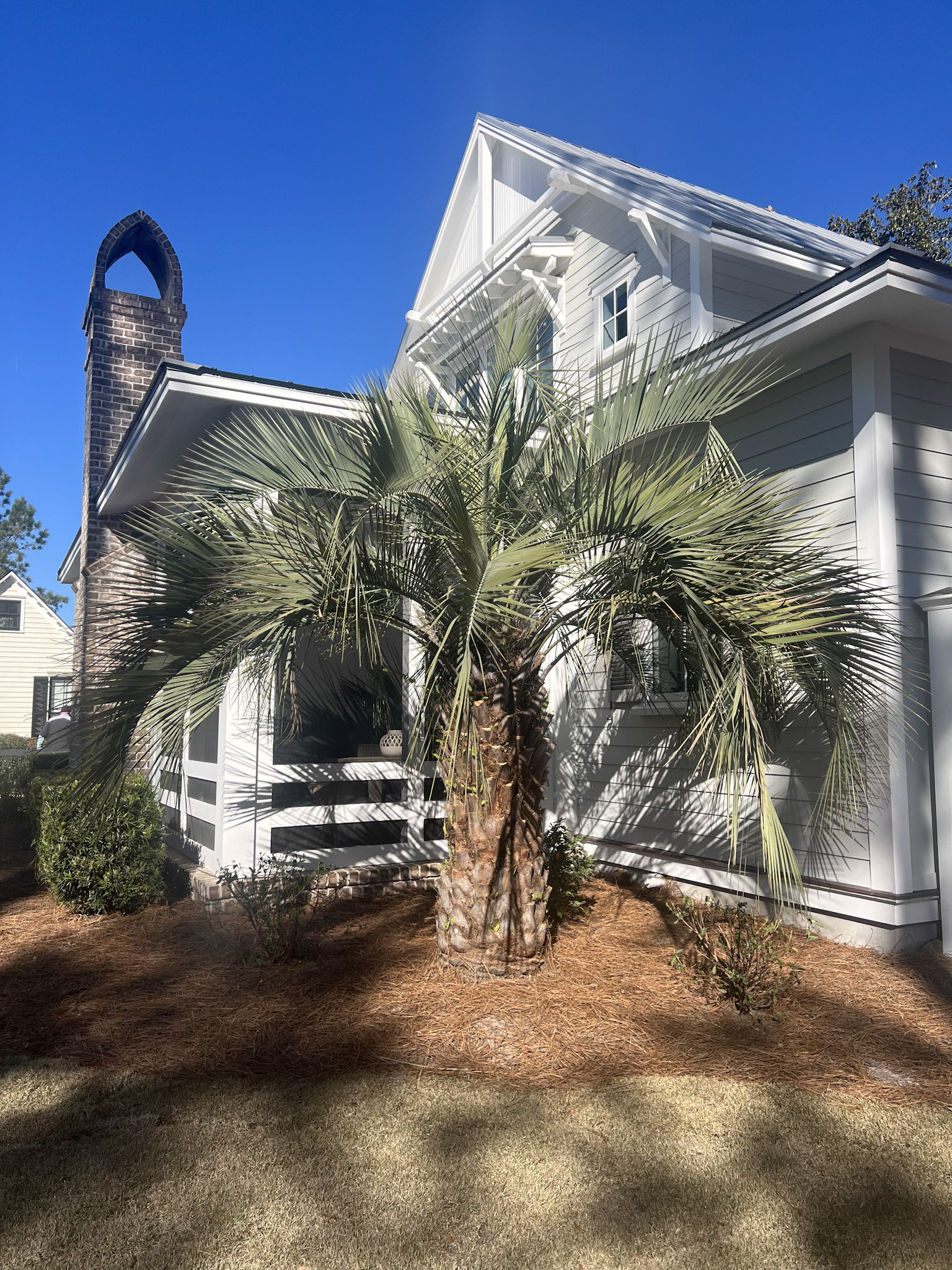 Palmetto bluff home with nice landscaping