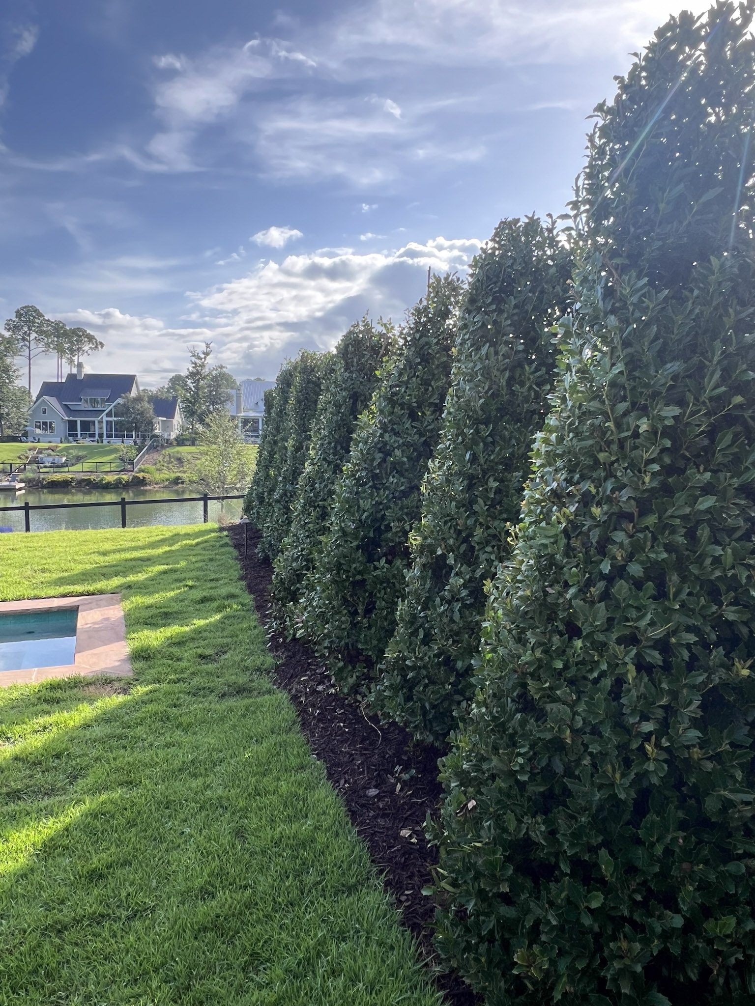 Landscaping example in palmetto bluff with natural retaining wall