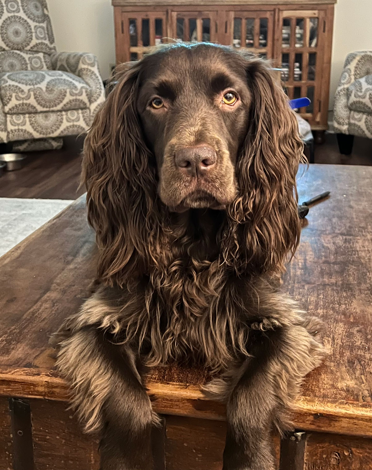 bubba